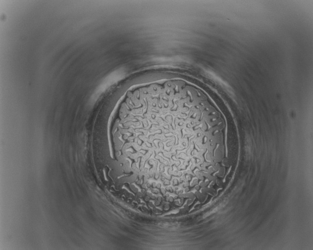 X0000062841411200601201626