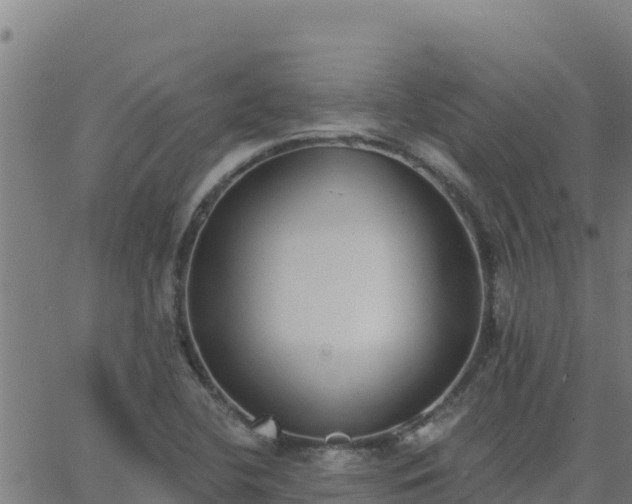 X0000062841412200601201626