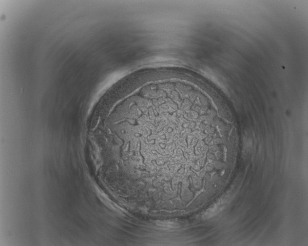 X0000062841413200601201626