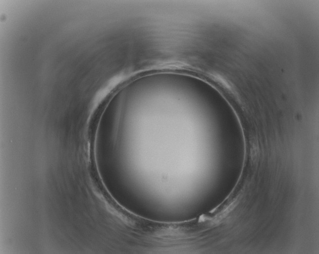 X0000062841414200601201626