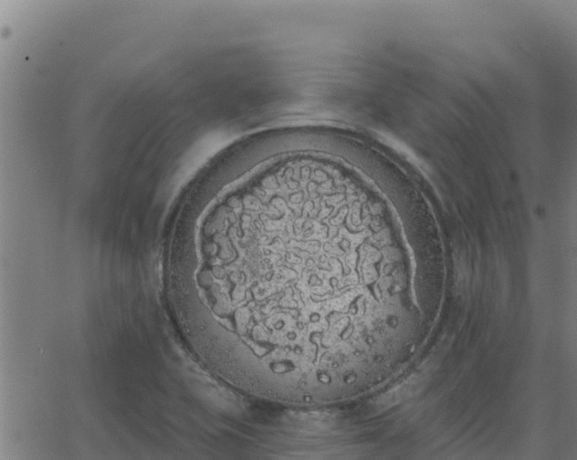 X0000062841415200601201626