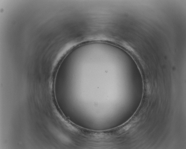 X0000062841416200601201626