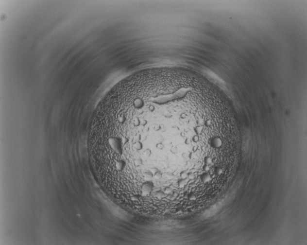 X0000062841417200601201626