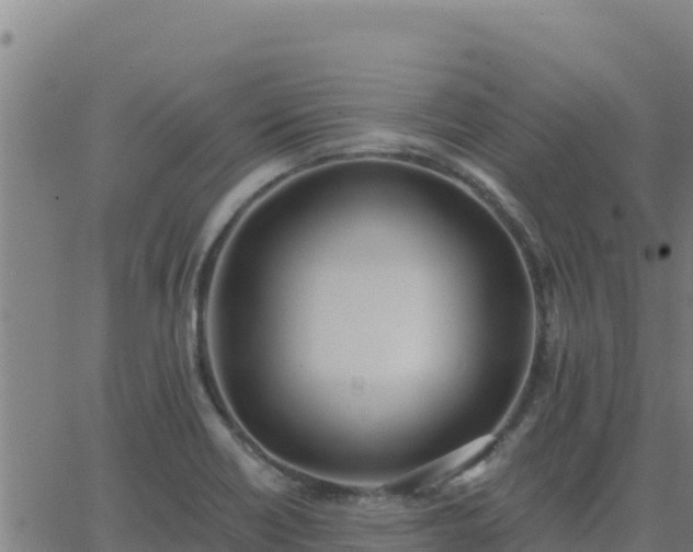 X0000062841418200601201626