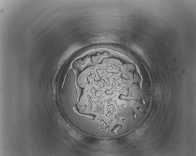 X0000062841419200601201626