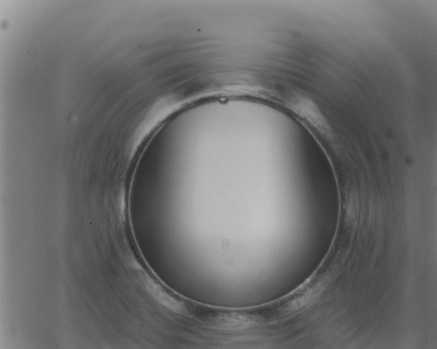 X0000062841420200601201626