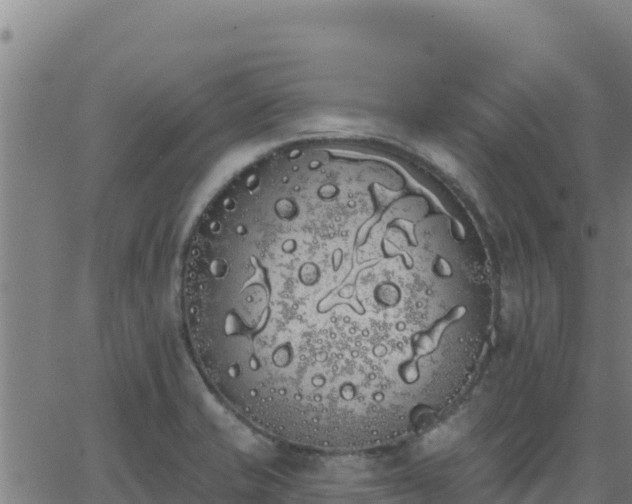 X0000062841421200601201626