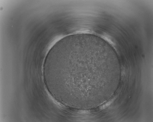 X0000062841423200601201626