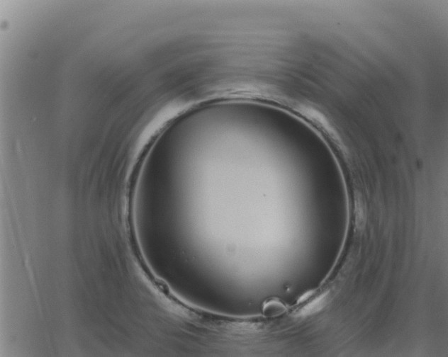 X0000062841424200601201626