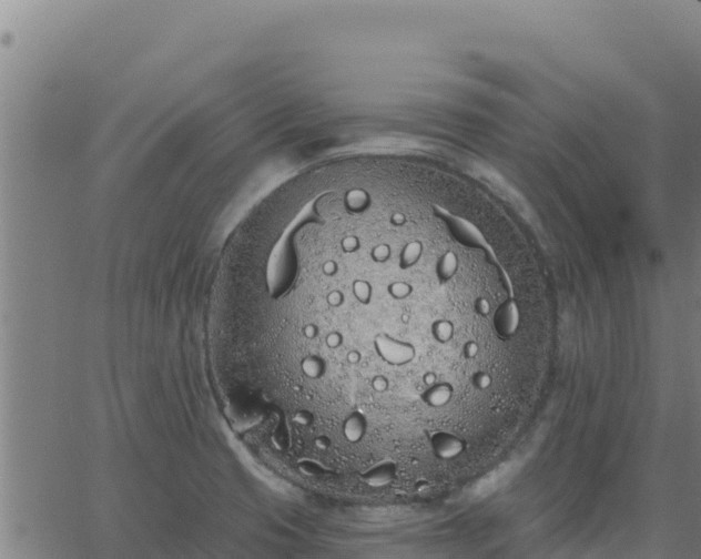 X0000062841425200601201626