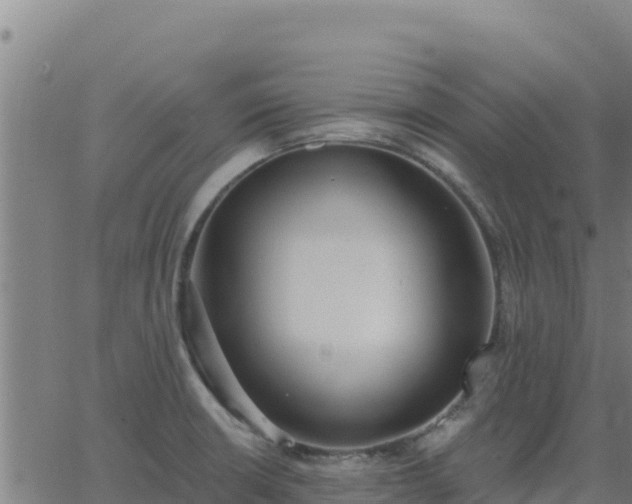 X0000062841426200601201626