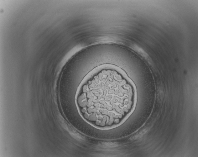 X0000062841427200601201626