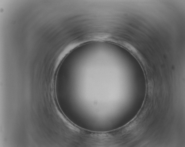 X0000062841432200601201627