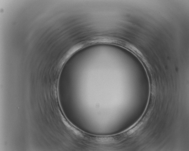 X0000062841433200601201627