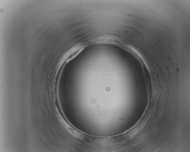 X0000062841434200601201627