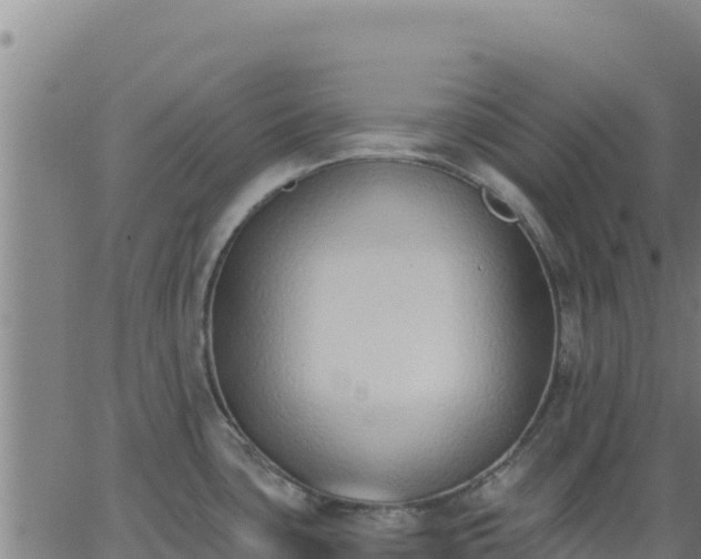 X0000062841435200601201627