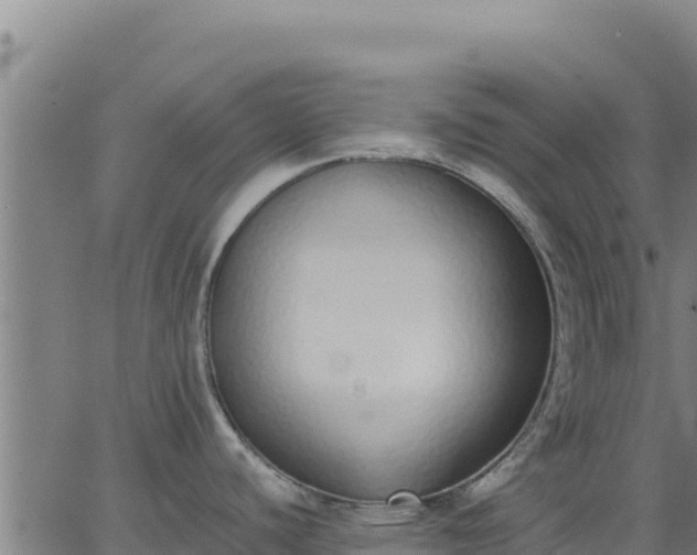 X0000062841440200601201627