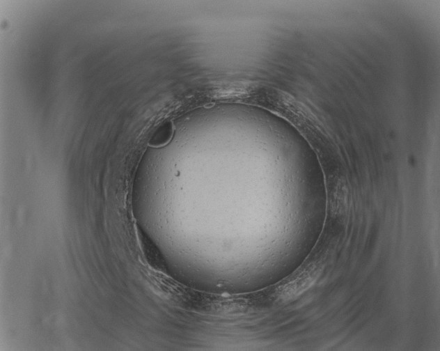 X0000062841441200601201626