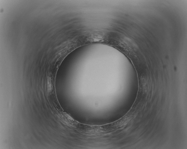 X0000062841442200601201626