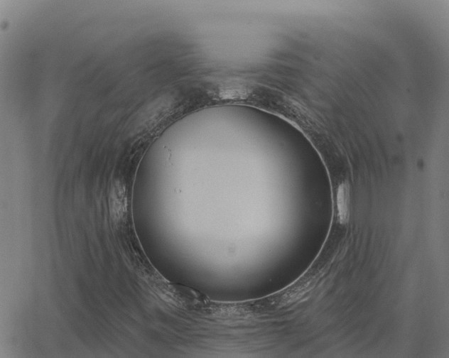 X0000062841443200601201626