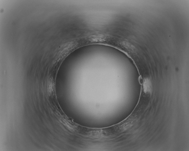 X0000062841444200601201626