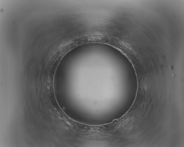 X0000062841445200601201626