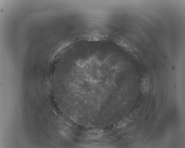 X0000062841446200601201626