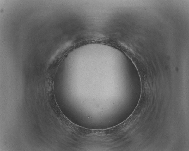 X0000062841447200601201626