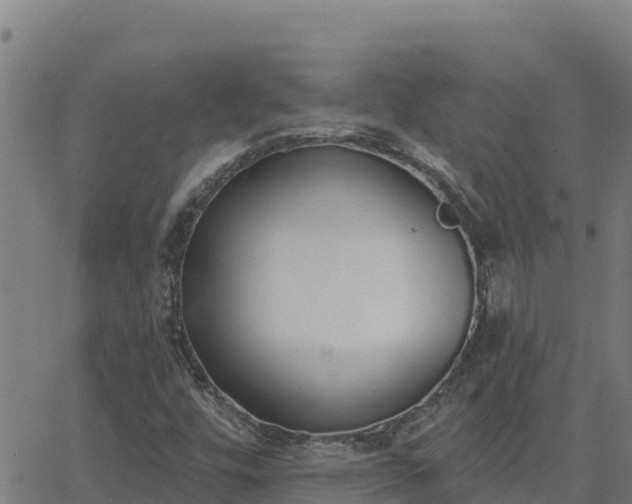 X0000062841448200601201626