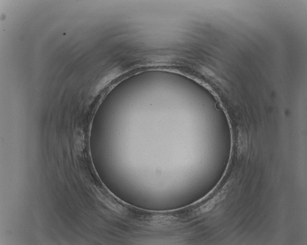 X0000062841449200601201626