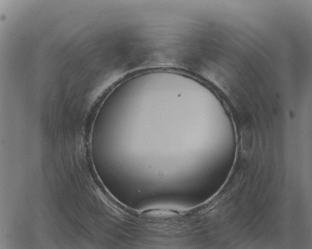 X0000062841452200601201626