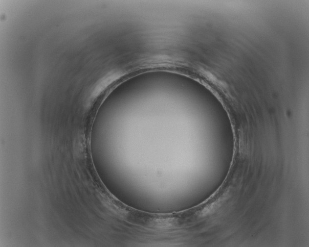 X0000062841453200601201626