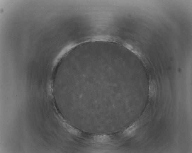 X0000062841454200601201626