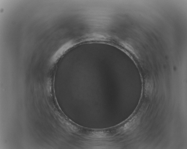 X0000062841455200601201626