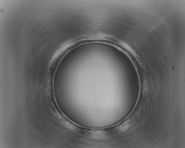 X0000062841456200601201626