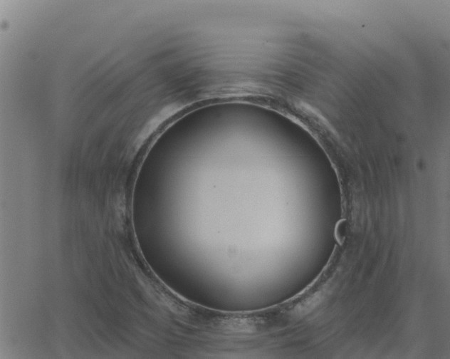 X0000062841457200601201626