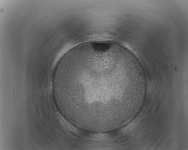 X0000062841459200601201626