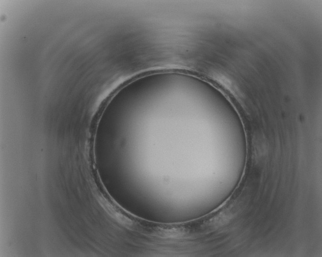 X0000062841460200601201626