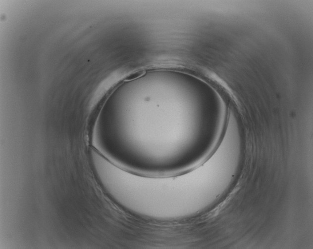 X0000062841461200601201626