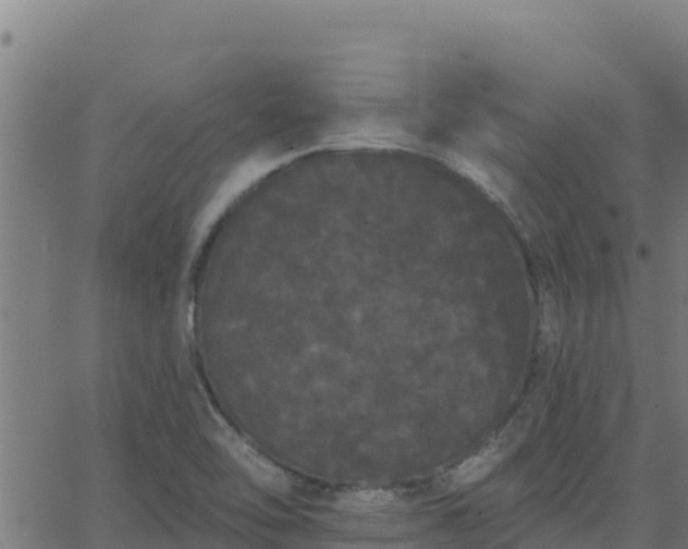 X0000062841462200601201626