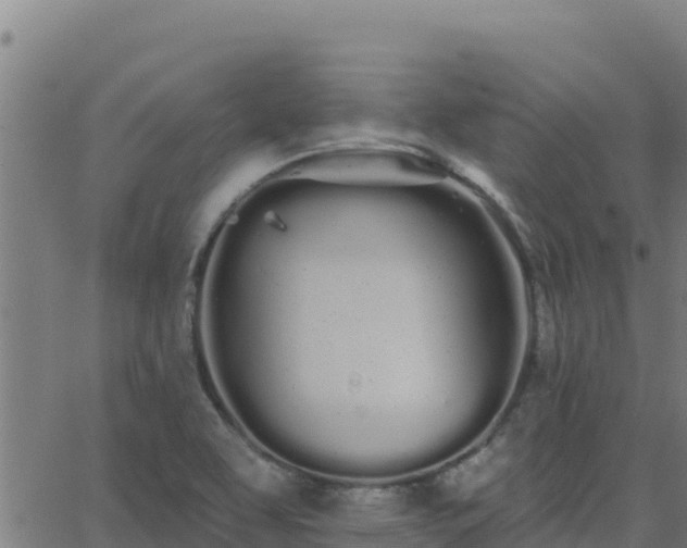 X0000062841463200601201626