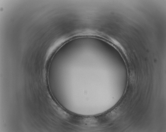 X0000062841464200601201626