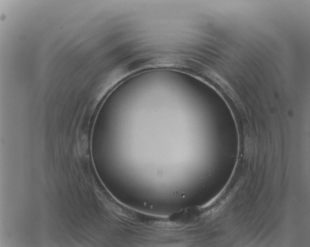 X0000062841465200601201626