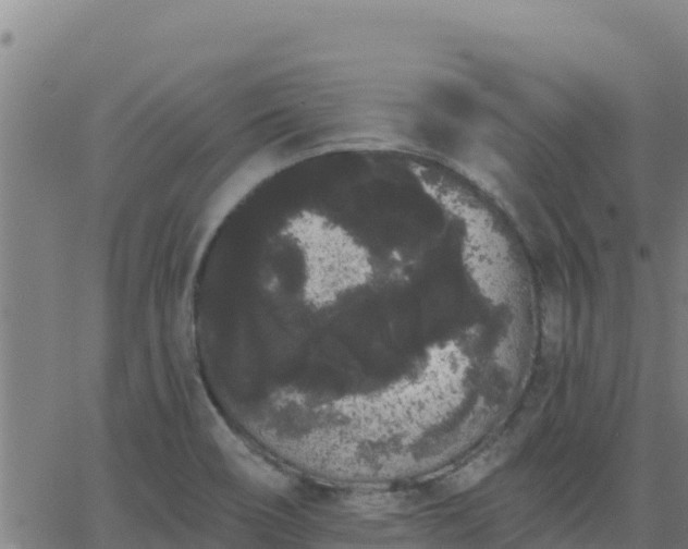 X0000062841466200601201626