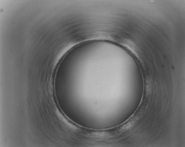 X0000062841468200601201625