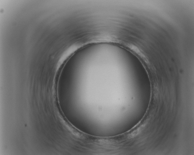 X0000062841469200601201625