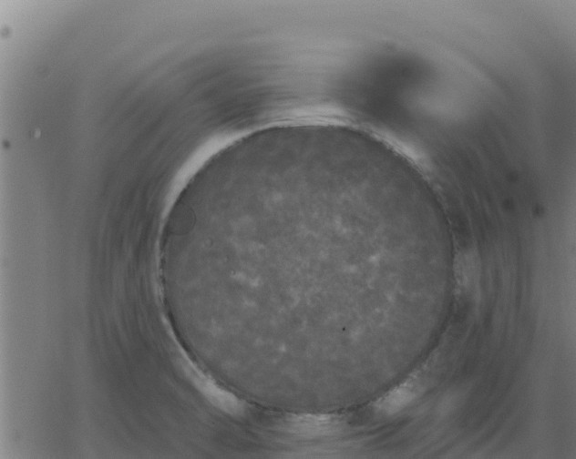 X0000062841470200601201625