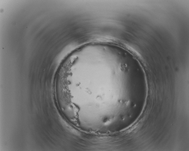 X0000062841471200601201625