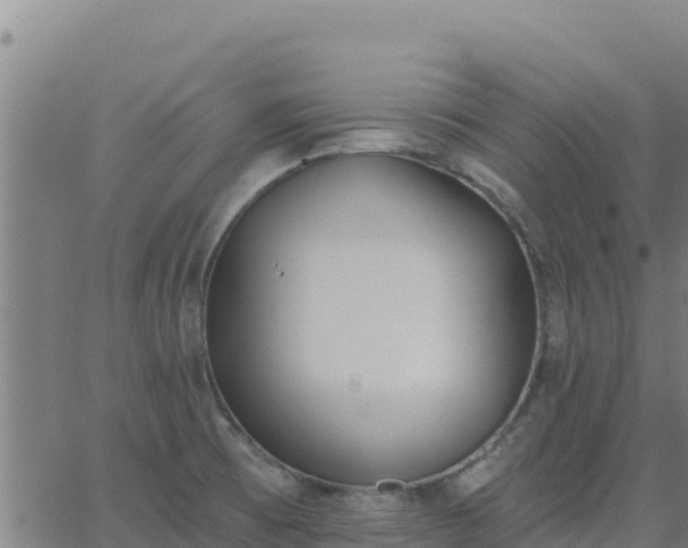 X0000062841473200601201625