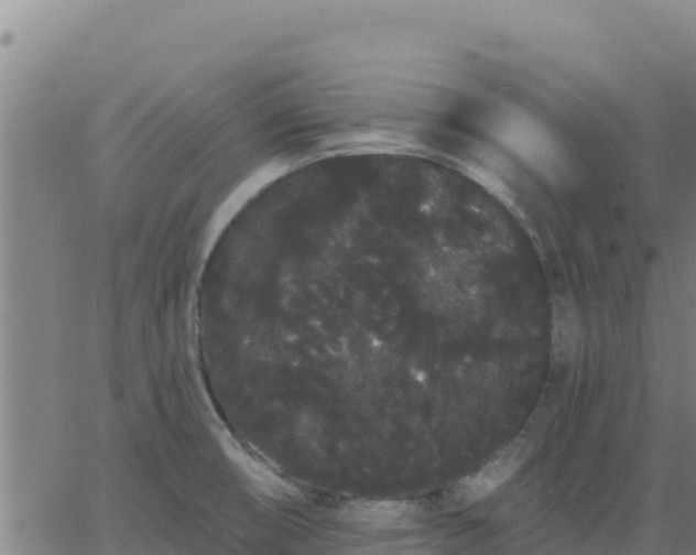 X0000062841474200601201625